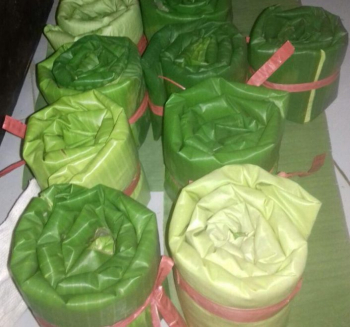 nasi tabheg belum matang