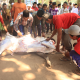 Penyembelihan Hewan Qurban