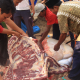 Penyembelihan Hewan Qurban
