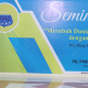 Seminar Android Pra Mapaba