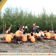 Kemah Pramuka Siswa SMP Nurul Jadid
