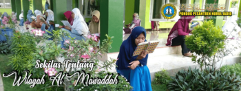 Sekilas Tentang Wilayah Al Mawaddah