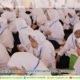 materi-nilai-nilai-dasar-dan-tradisi-kepesantrenan