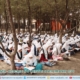 Outbound Santri - Mentari 2019 Wilayah Al Mawaddah